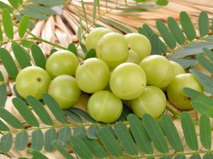 amla