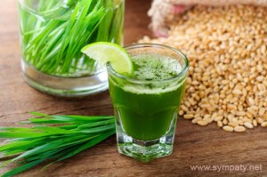 kak-prorastit-pshenicu-0