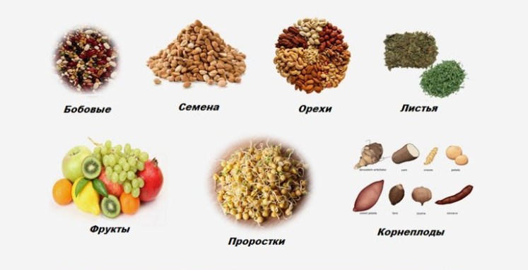 255671bdcfed0e0a42f31c4a5ea80fbf