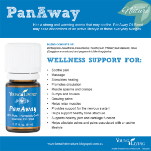 4_3f254c8597e74d8dbb43ac946b5691e0PanAway Oil Blend