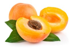 apricot-05