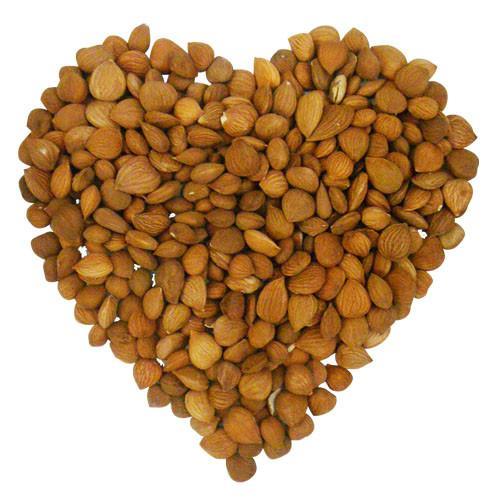 Apricot-Kernel-Extract-Amygdalin-Powder-99-Vitamin-B17