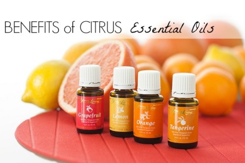 Benefits-of-Citrus-Essential-Oils