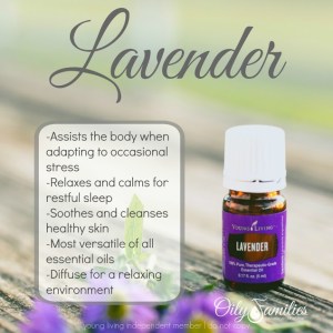 lavender-graphic-new