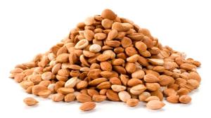 media-141458674724312900